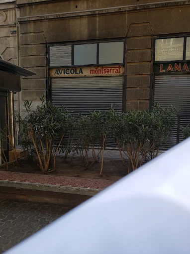 Notaria Enrique Adolfo Santos